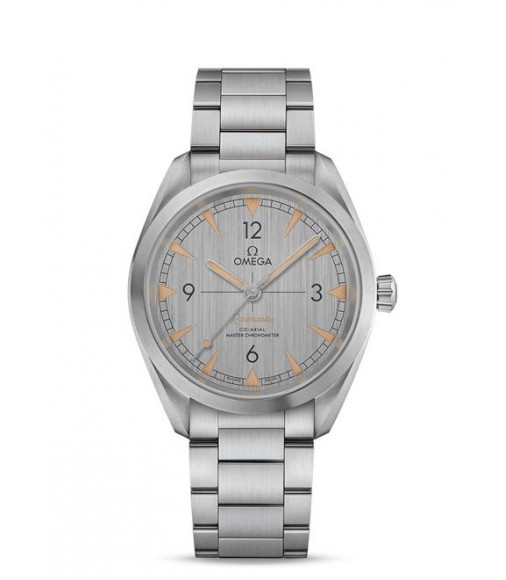 OMEGA Seamaster Steel Chronometer 220.13.41.21.03.002 fake watch