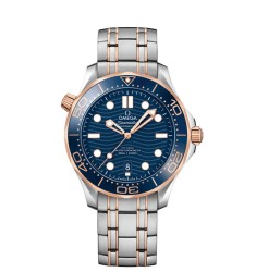 OMEGA Seamaster Steel Sedna Gold Chronometer Replica Watch 210.20.42.20.03.002