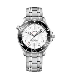 OMEGA Seamaster Steel Anti-magnetic Replica Watch 210.30.42.20.04.001
