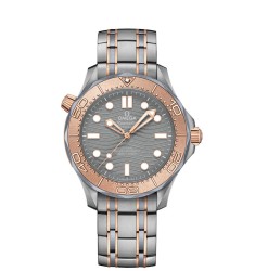 OMEGA Seamaster Titanium Sedna Gold Anti-magnetic Replica Watch 210.60.42.20.99.001