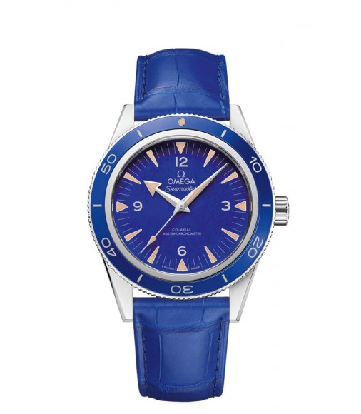 OMEGA Seamaster Platinum Anti-magnetic Replica Watch 234.93.41.21.99.002