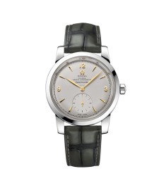 OMEGA Seamaster Platinum Anti-magnetic Replica Watch 511.93.38.20.99.001