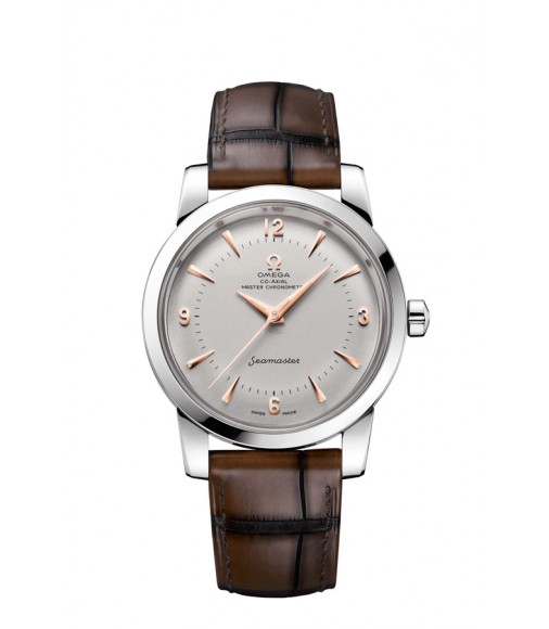 OMEGA Seamaster Platinum Anti-magnetic Replica Watch 511.93.38.20.99.002