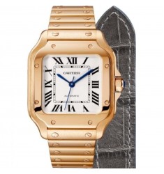 Cartier Santos Automatic Self Wind WGSA0008 Mens Replica Watch