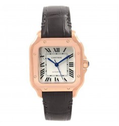 Cartier Santos Automatic Self Wind WGSA0012 Mens Replica Watch