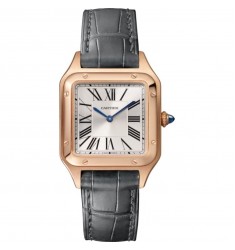 Cartier Santos Dumont Quartz Movement WGSA0022 Women Replica Watch