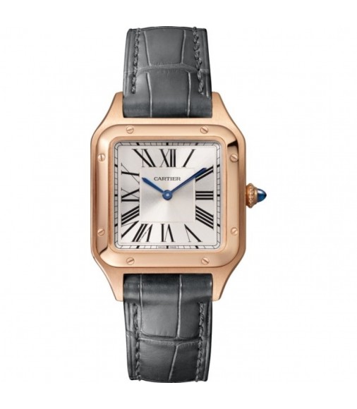 Cartier Santos Dumont Quartz Movement WGSA0022 Women Replica Watch