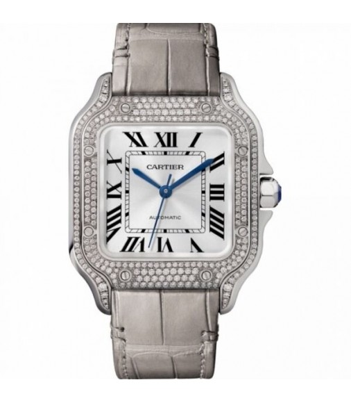 Cartier Santos Automatic Self Wind WJSA0006 Unisex Replica Watch