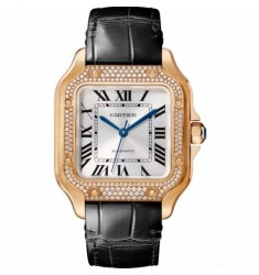 Cartier Santos Automatic Self Wind WJSA0007 Unisex Replica Watch