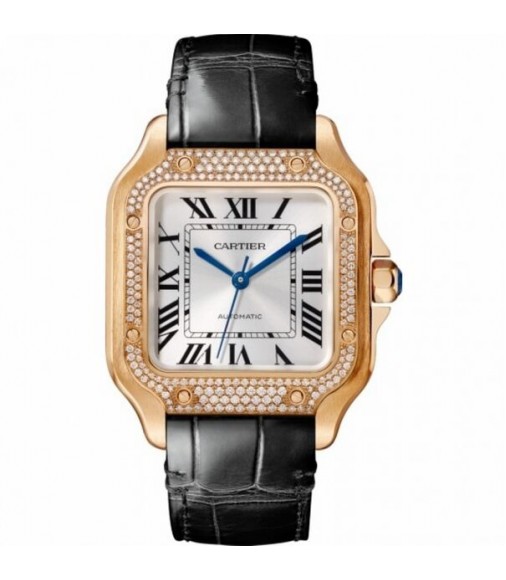 Cartier Santos Automatic Self Wind WJSA0007 Unisex Replica Watch