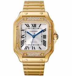 Cartier Santos Automatic Self Wind WJSA0010 Unisex Replica Watch