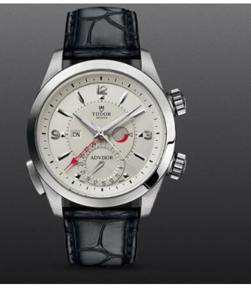 Copy Tudor Heritage Advisor m79620t-0009