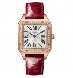 Replica Cartier Santos Dumont Jewelry Large WJSA0016