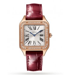 Fake Cartier Santos Dumont Jewelry Small WJSA0017