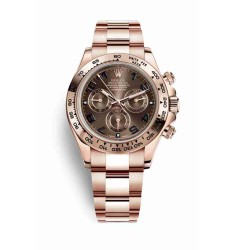 Rolex Cosmograph Daytona 18ct Everose gold 116505 Chocolate Dial Watch
