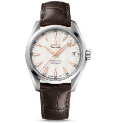Omega Seamaster Aqua Terra Midsize Chronometer replica watch 231.13.39.21.02.003