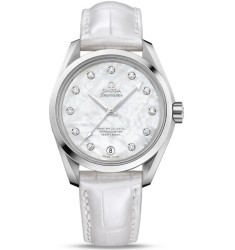 Omega Seamaster Aqua Terra Automatic replica watch 231.13.39.21.55.002