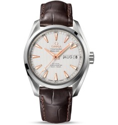 Omega Seamaster Aqua Terra Annual Calendar replica watch 231.13.39.22.02.001