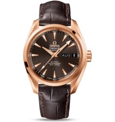 Omega Seamaster Aqua Terra Annual Calendar replica watch 231.53.39.22.06.001