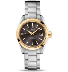 Omega Seamaster Aqua Terra Automatic replica watch 231.20.30.20.06.004