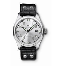 IWC Classic Father & Son Steel watch IW325519