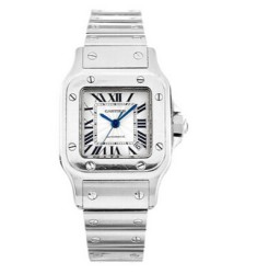 Cartier Santos Ladies Watch Replica W20054D6