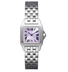 Cartier Santos Demoiselle Small Ladies Watch Replica W2510002