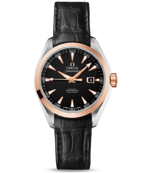 Omega Seamaster Aqua Terra Automatic replica watch 231.23.34.20.01.002