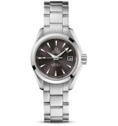 Omega Seamaster Aqua Terra Automatic replica watch 231.10.30.20.06.001
