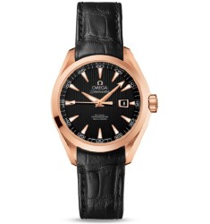 Omega Seamaster Aqua Terra Automatic replica watch 231.53.34.20.01.002