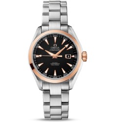 Omega Seamaster Aqua Terra Automatic replica watch 231.20.34.20.01.003