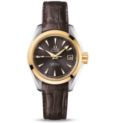 Omega Seamaster Aqua Terra Automatic replica watch 231.23.30.20.06.002