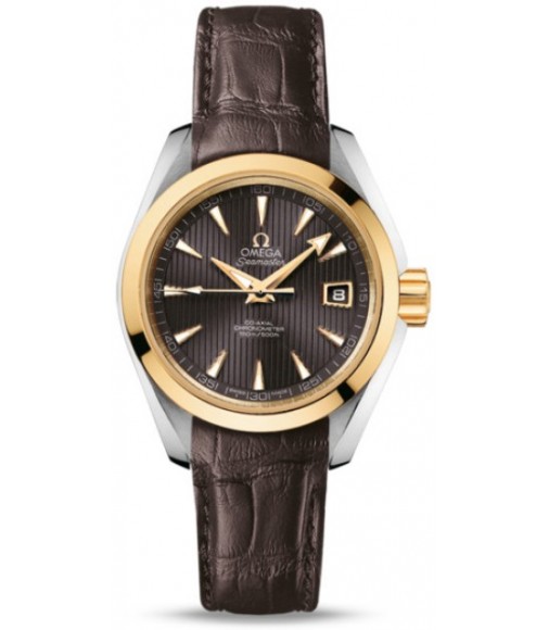 Omega Seamaster Aqua Terra Automatic replica watch 231.23.30.20.06.002