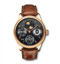 IWC Portuguese Perpetual Calendar IW502119