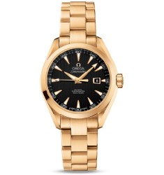 Omega Seamaster Aqua Terra Automatic replica watch 231.50.34.20.01.001