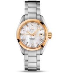 Omega Seamaster Aqua Terra Automatic replica watch 231.20.30.20.55.004