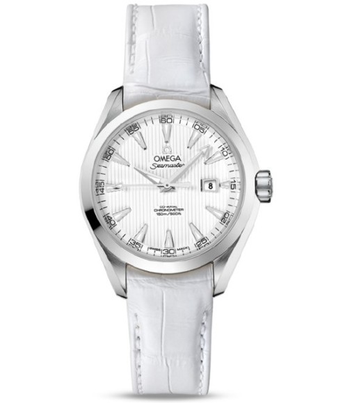 Omega Seamaster Aqua Terra Automatic replica watch 231.13.34.20.04.001