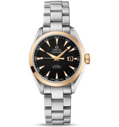 Omega Seamaster Aqua Terra Automatic replica watch 231.20.34.20.01.004