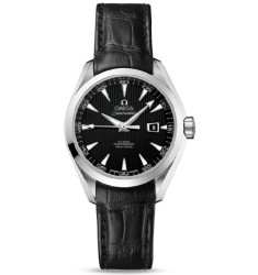 Omega Seamaster Aqua Terra Automatic replica watch 231.13.34.20.01.001