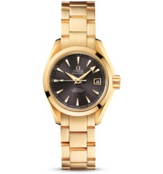 Omega Seamaster Aqua Terra Automatic replica watch 231.50.30.20.06.002