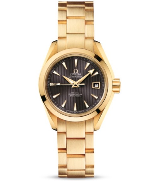 Omega Seamaster Aqua Terra Automatic replica watch 231.50.30.20.06.002