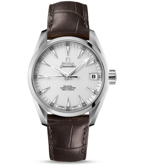Omega Seamaster Aqua Terra Midsize Chronometer replica watch 231.13.39.21.02.001