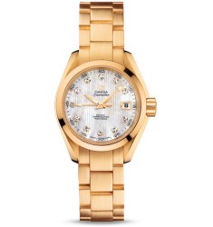 Omega Seamaster Aqua Terra Automatic replica watch 231.50.30.20.55.002