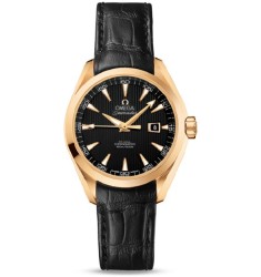 Omega Seamaster Aqua Terra Automatic replica watch 231.53.34.20.01.001