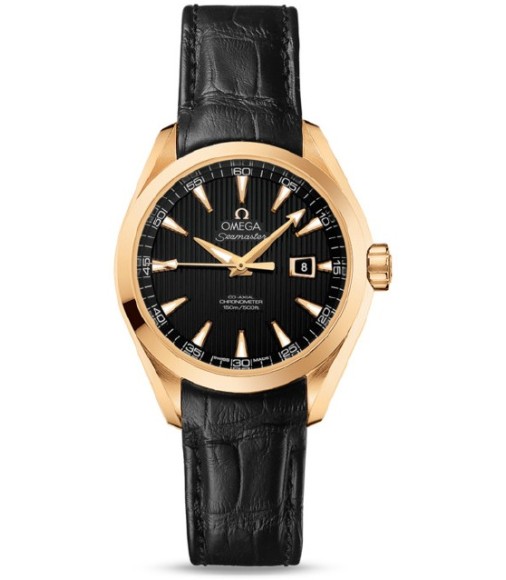 Omega Seamaster Aqua Terra Automatic replica watch 231.53.34.20.01.001