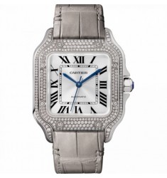 Cartier Santos Automatic Self Wind WJSA0006 Unisex Replica Watch