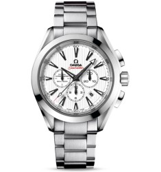 Omega Seamaster Aqua Terra Chronograph replica watch 231.10.44.50.04.001