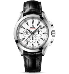 Omega Seamaster Aqua Terra Chronograph replica watch 231.13.44.50.04.001