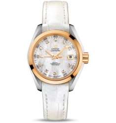 Omega Seamaster Aqua Terra Automatic replica watch 231.23.30.20.55.002