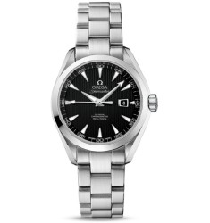 Omega Seamaster Aqua Terra Automatic replica watch 231.10.34.20.01.001